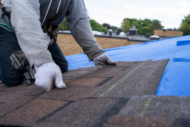 Best Commercial Roofing Services  in Novato, CA