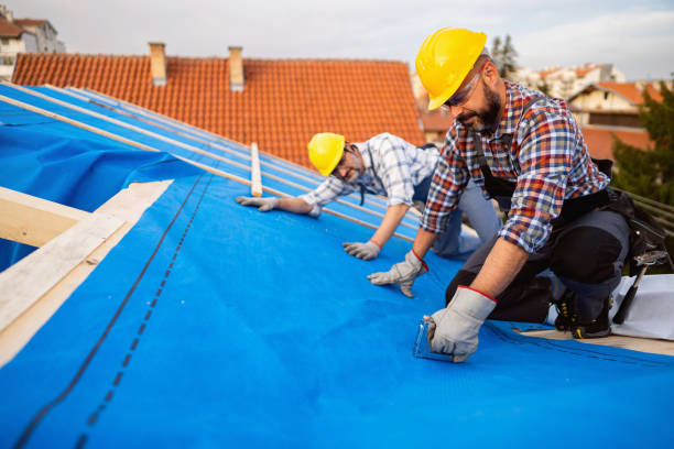 Best Emergency Roof Repair  in Novato, CA