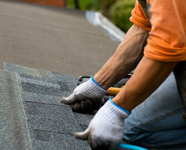 Best Roof Waterproofing Services  in Novato, CA