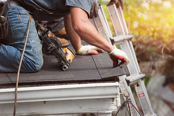 Best Roof Maintenance Services  in Novato, CA